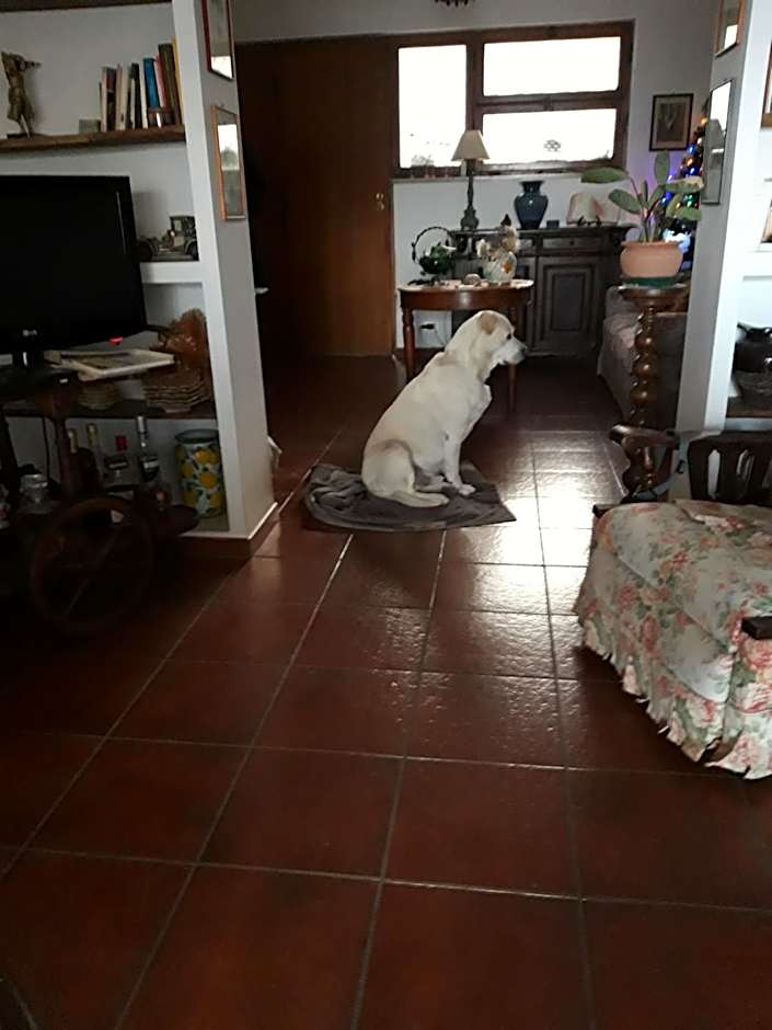 Da Franca