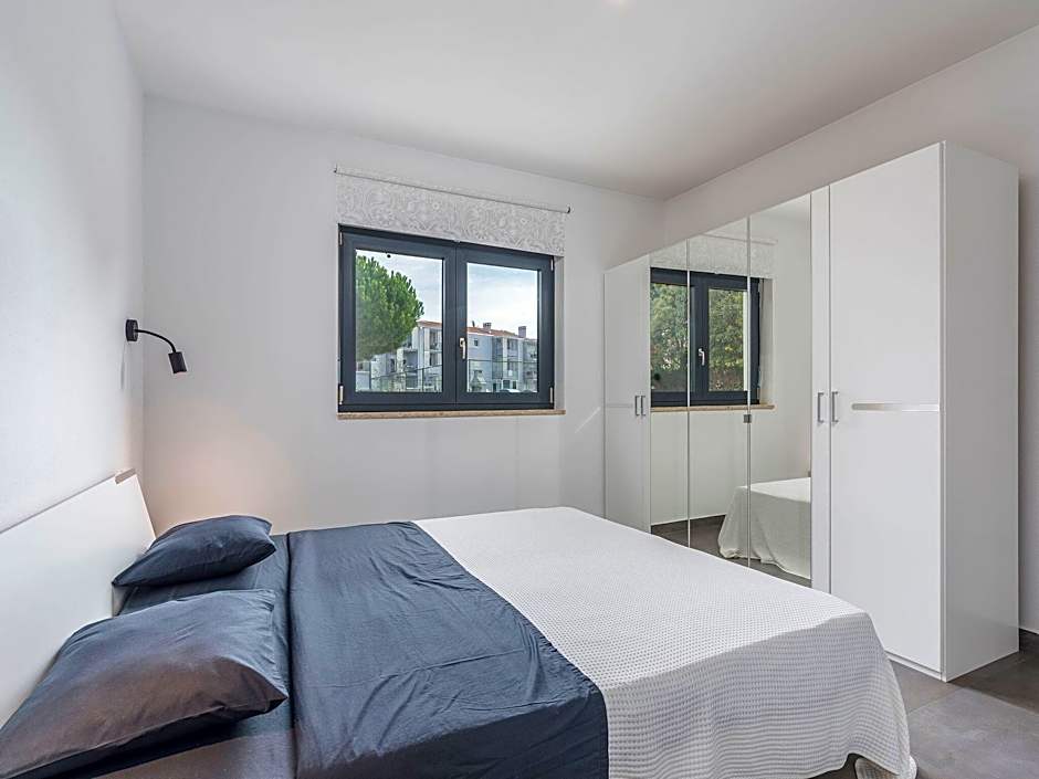 Villa in Novigrad with Private Pool and Beach