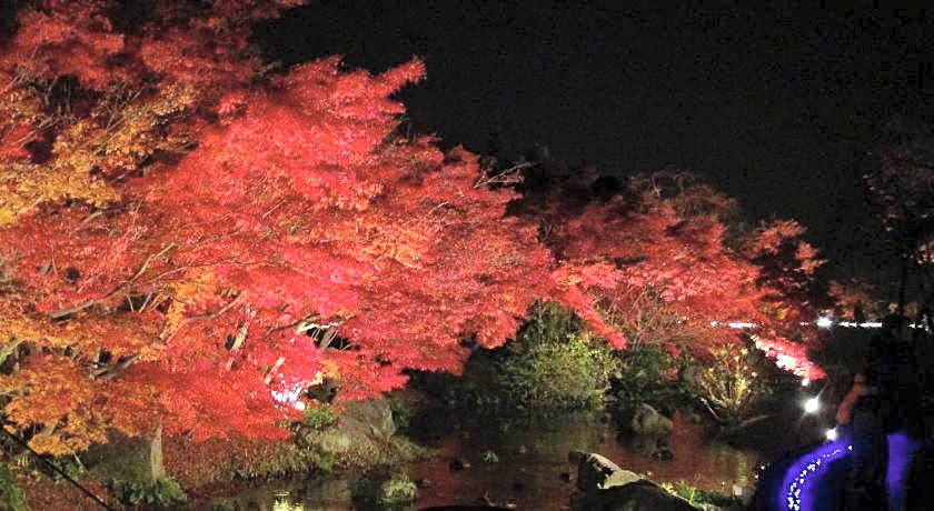 Kaze no Tani no Iori