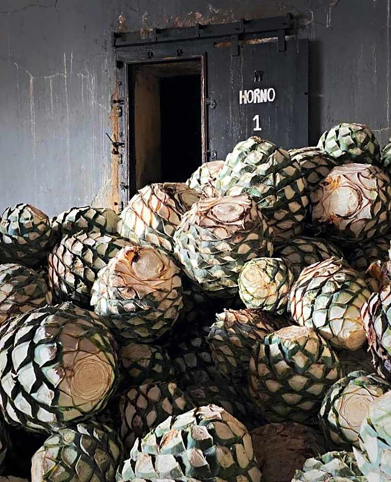 Matices Hotel de Barricas