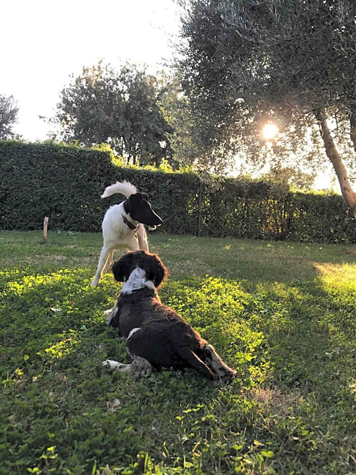 Casa Vacanze Bicchi