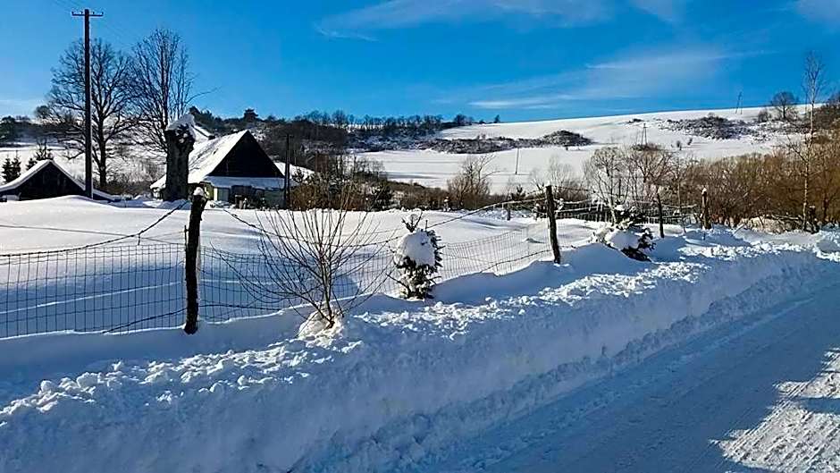 Domki w Smolniku z możliwością apiterapii