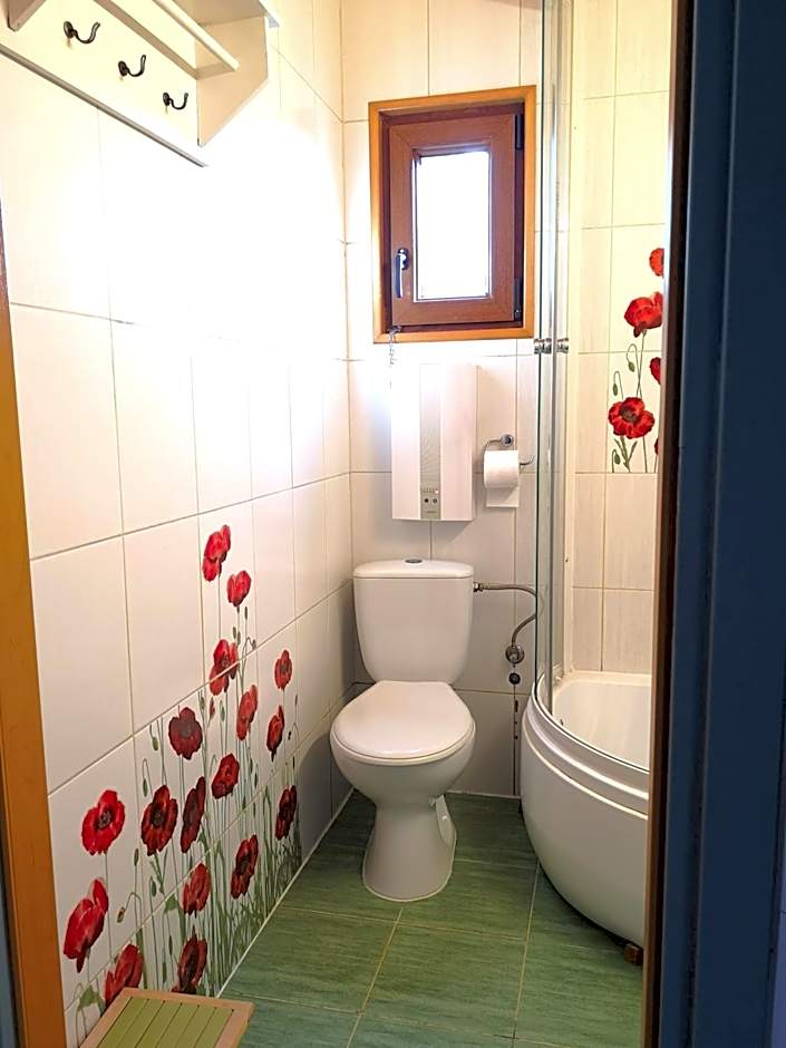 Domek na Skraju Wsi dostęp do jeziora UBLIK