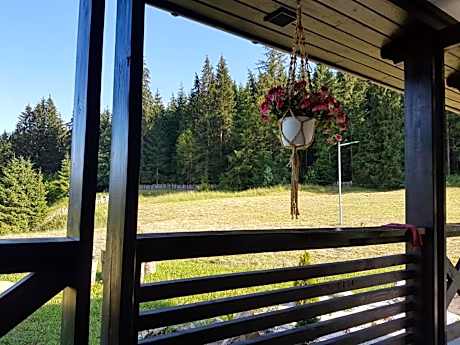 Pensiunea Maria-Bucovina