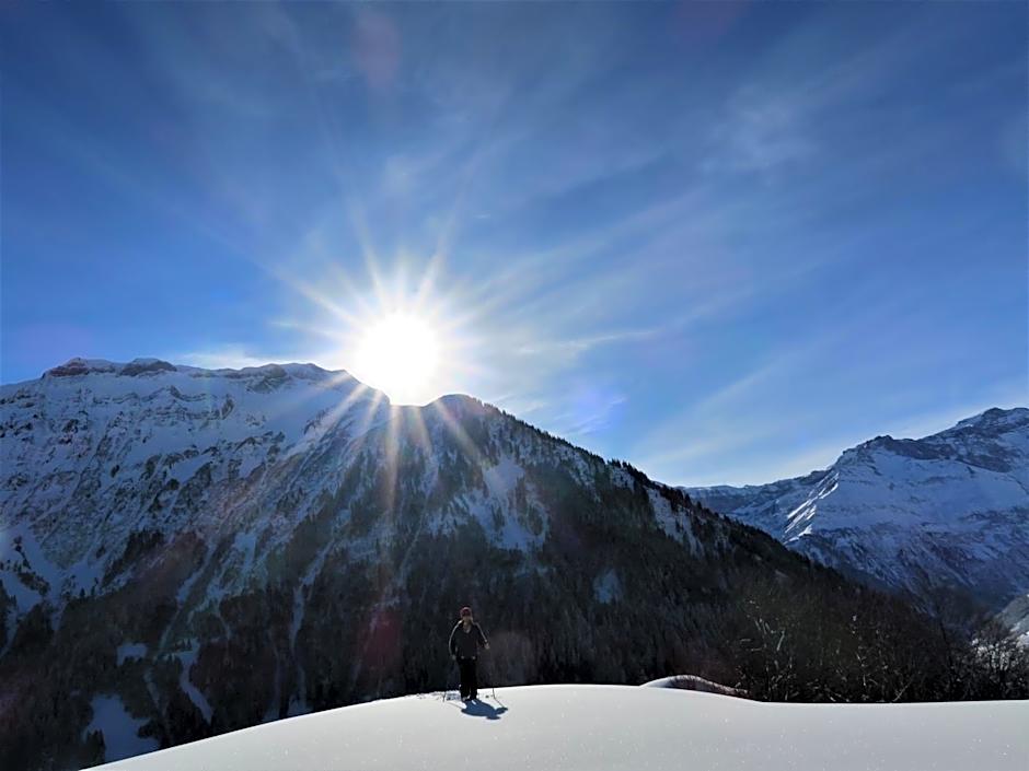 Aktivhostel HängeMatt