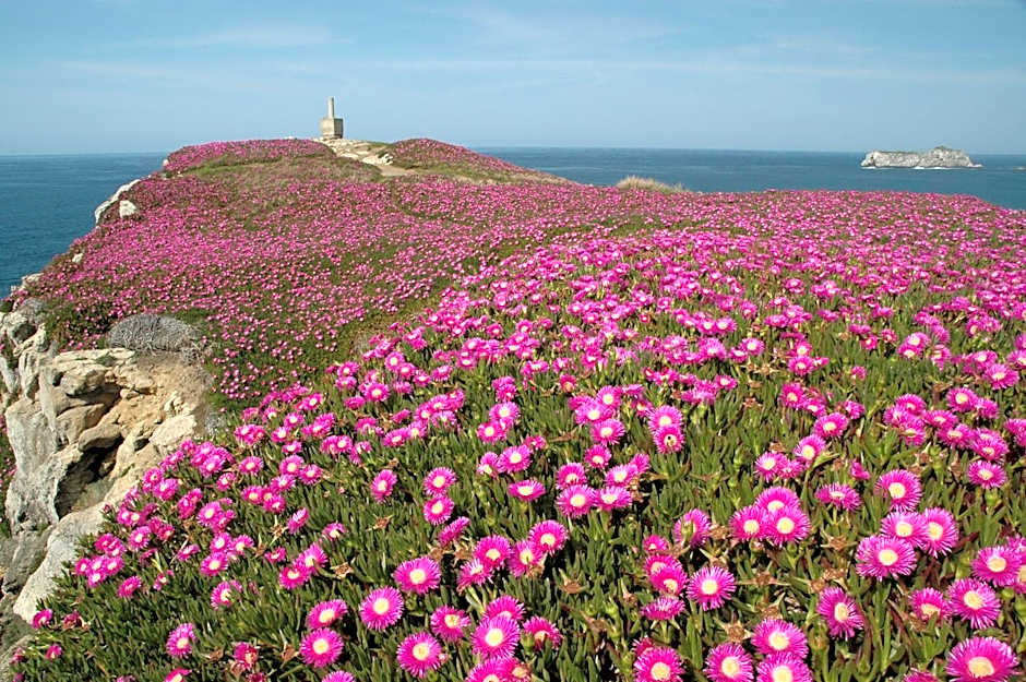 Hotel El Castillo de Los Locos