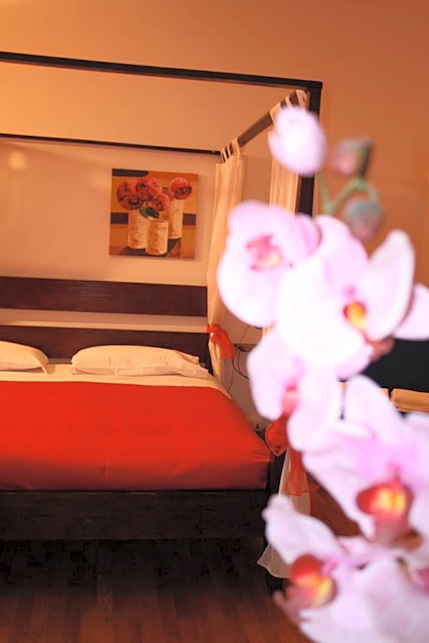 City's House Guest House