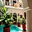 Riad Jardin Des Rêves