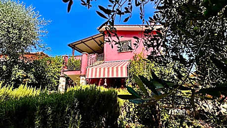 Bed&Breakfast degli ulivi