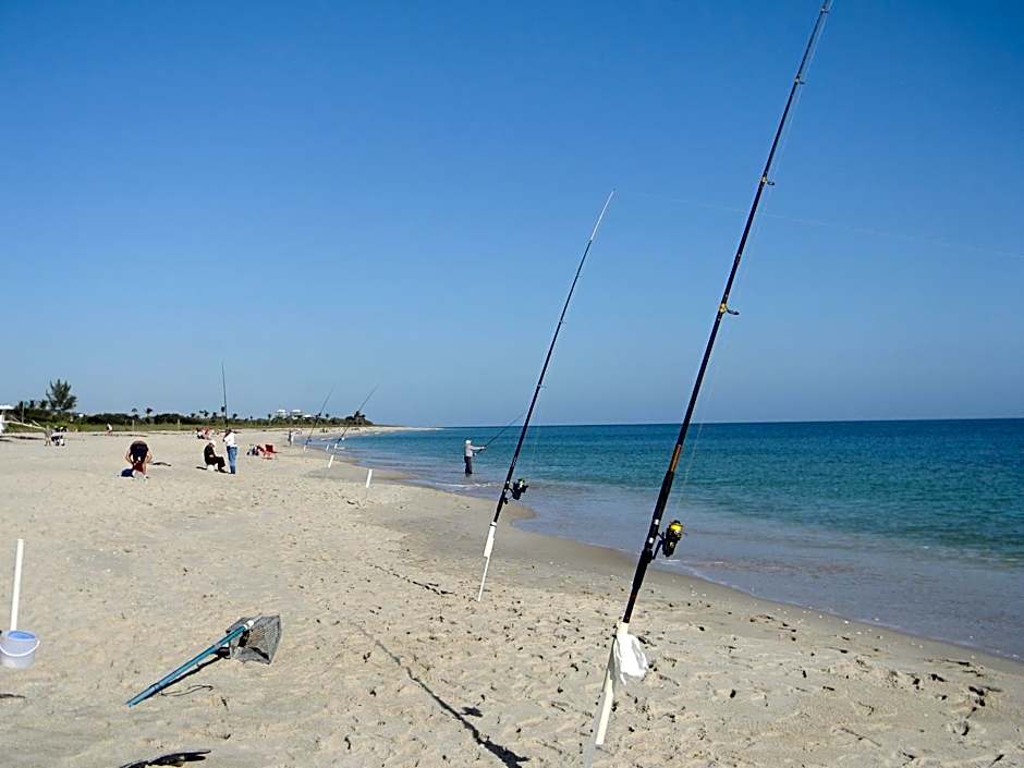 Seaspray Surf Lodge	