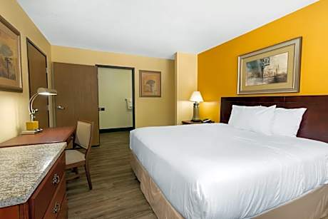 1 King Bed Deluxe Room Non-Smoking