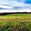 SCHLOSS RANZOW - kleines Romantik Hotel - Wellness - Golfplatz - Hochzeiten & Feiern
