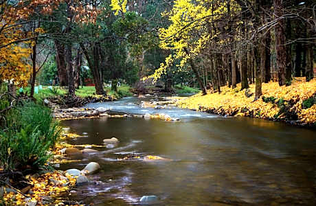 Goldfield Holiday Units