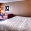 Hampton Inn By Hilton & Suites Wixom-Novi-Detroit MI
