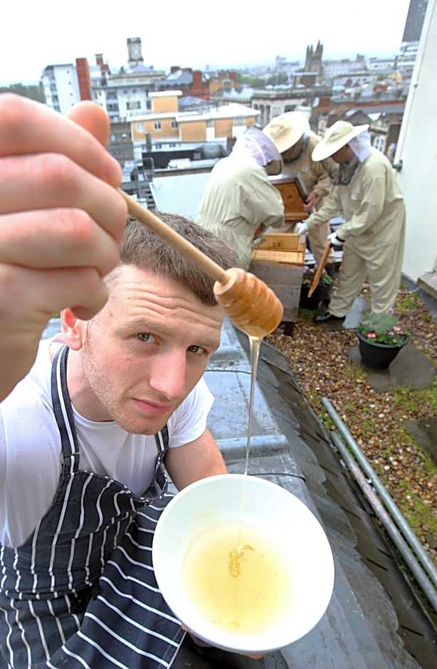 The Royal Hotel Cardiff