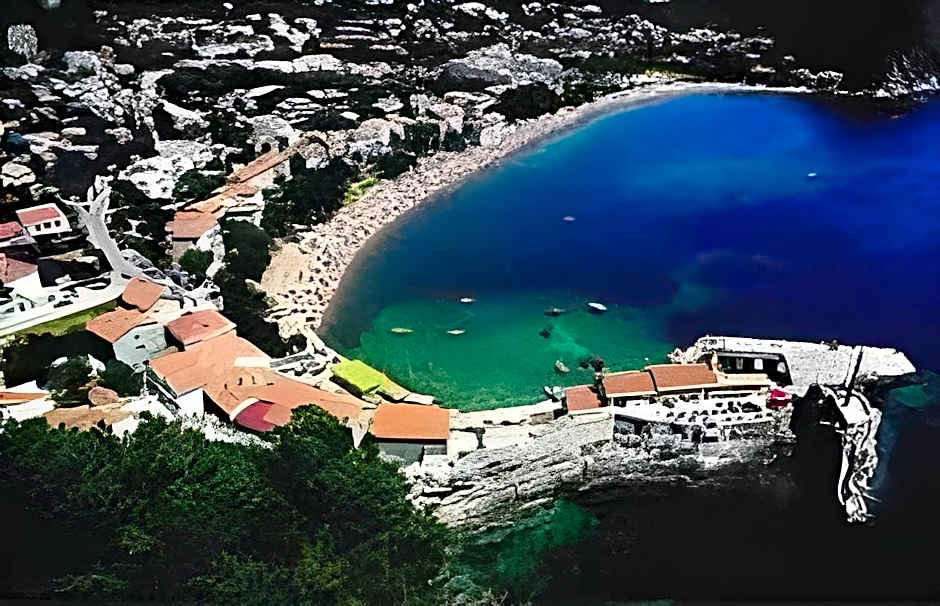 Hotel Danica