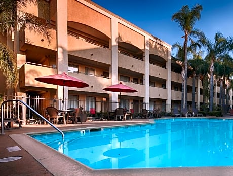 Accessible Executive