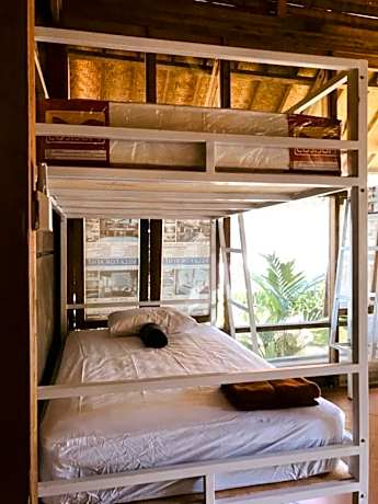 Bed in 8-Bed Mixed Dormitory Room