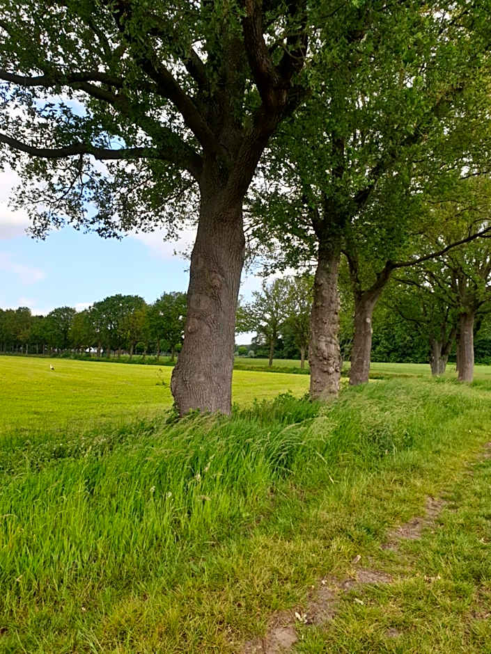 B&B Het Gelders Buitenleven