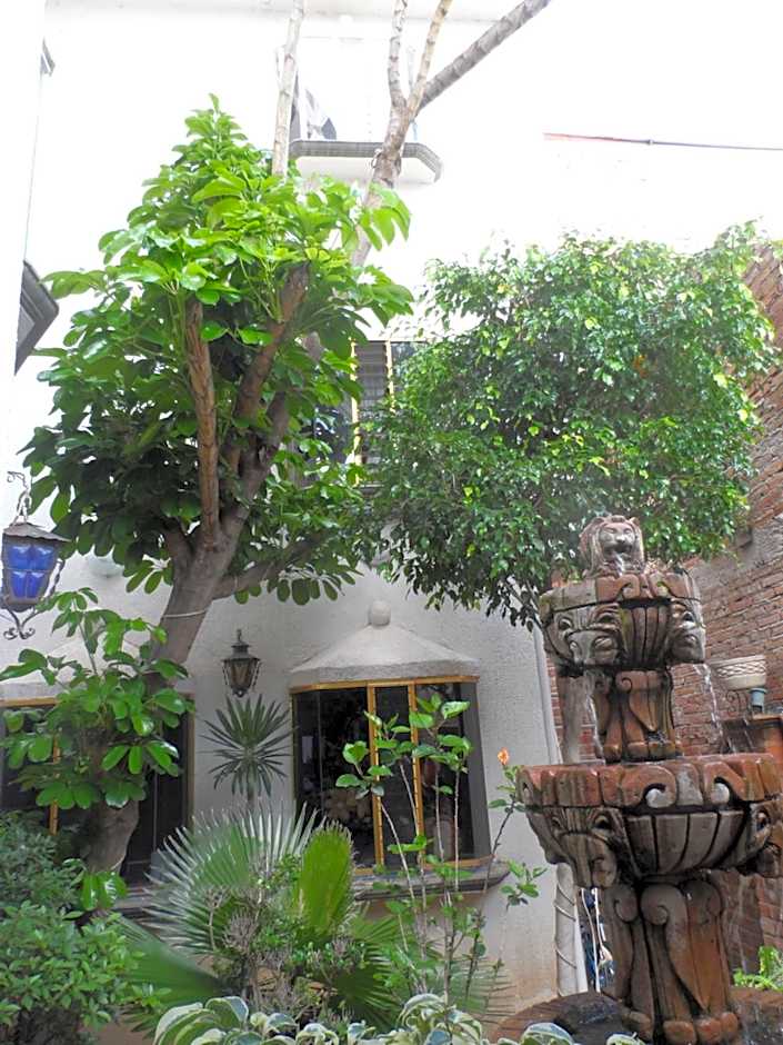 Hotel Internacional Malitsin