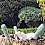 Villa Pulejo