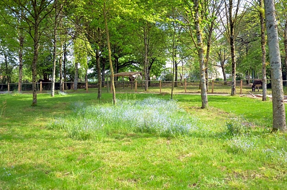 Le camp du fauconnier