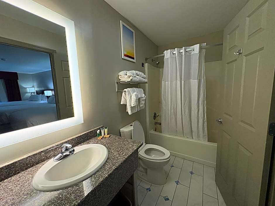 OYO Hampton South Carolina Hwy 278