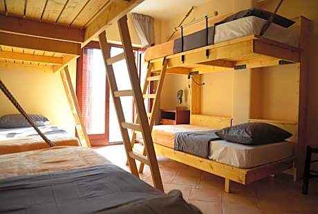 Bed in 6-Bed Mixed Dormitory Room