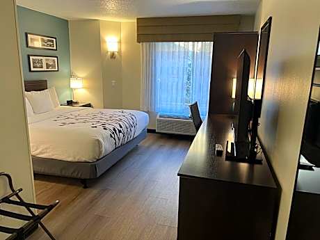 1 King bed non-smoking accessible