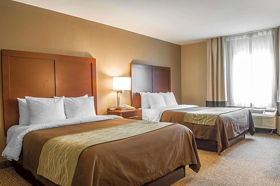 Comfort Inn Edinburg South