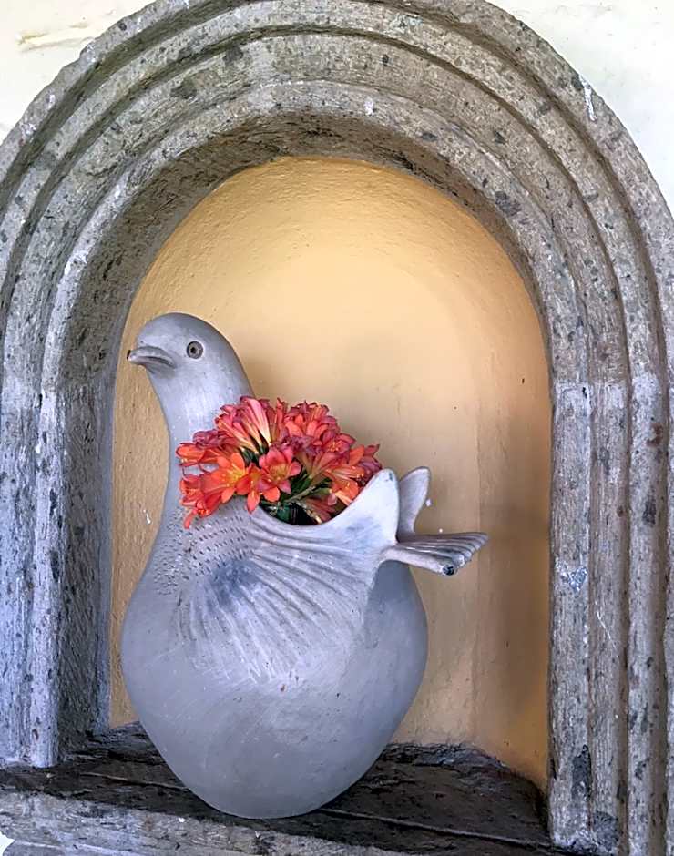 Casa Palomas Bed and Breakfast