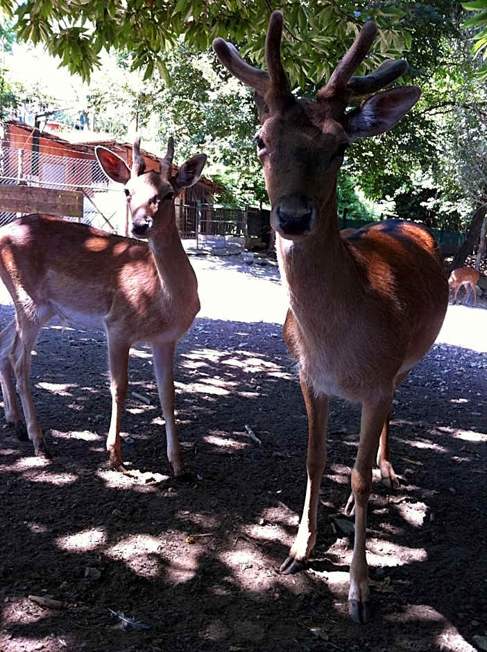 Villapiana Country House