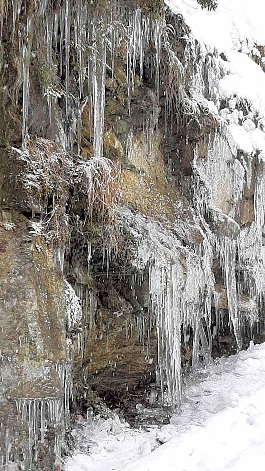 Hotel Restaurant Waldrand, Isenfluh