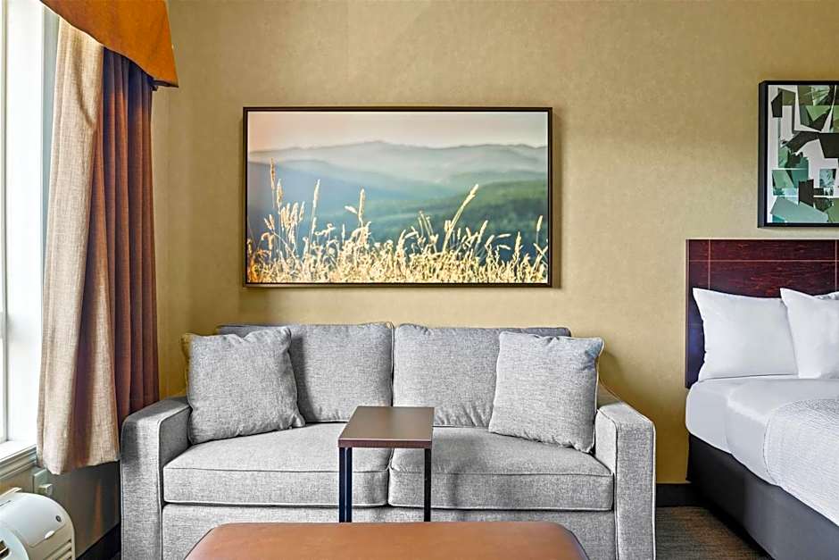 Ramada by Wyndham Drumheller Hotel & Suites