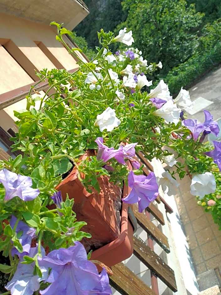 Residence Giardino