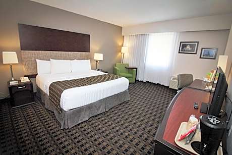 1 King Bed Non-Smoking