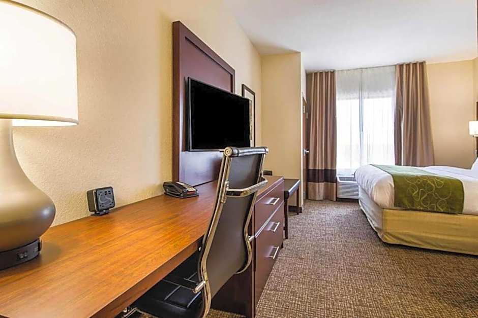 Comfort Suites Greenville South