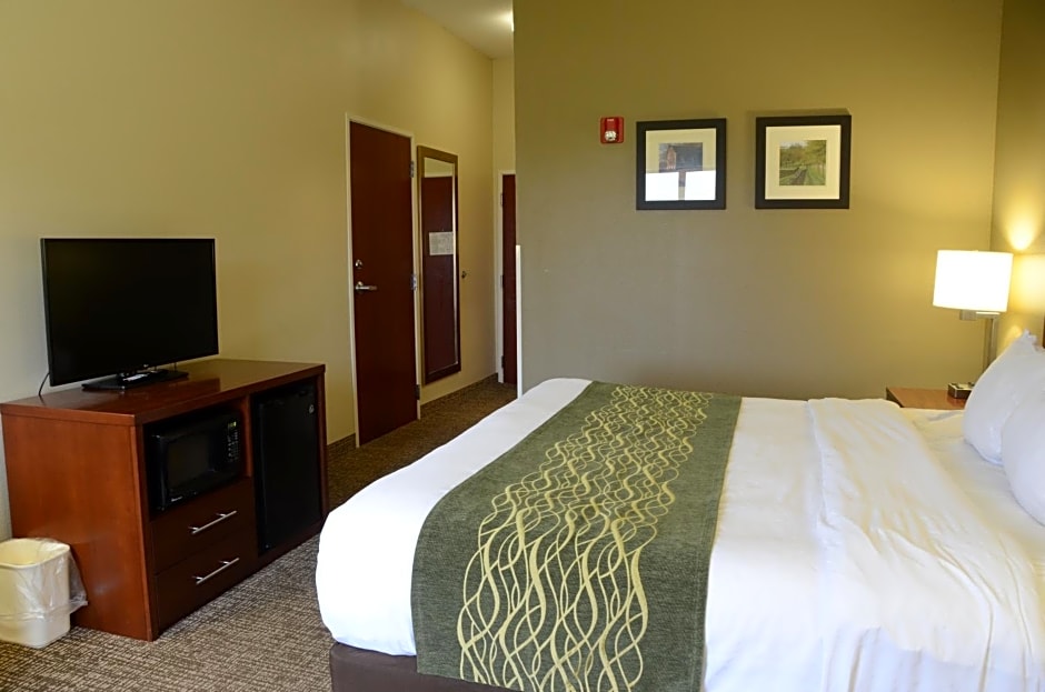 Comfort Inn & Suites Cave City