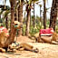Riad Dar Salam Palm - 2025 Guest Choice Award