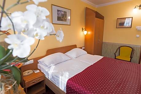 Classic Double or Twin Room