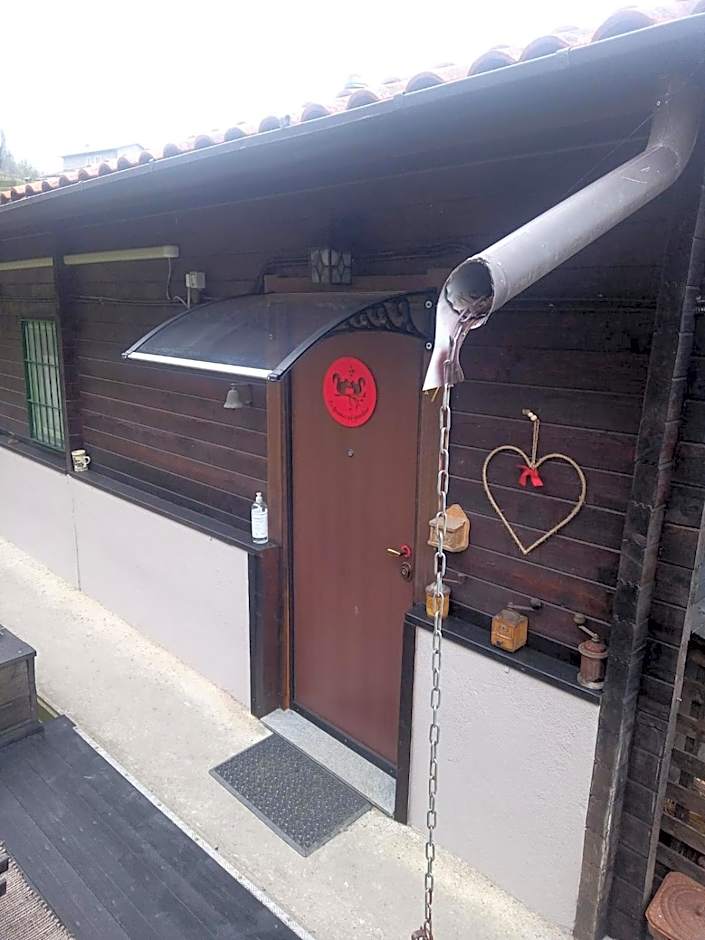 La Tana dello Scoiattolo - Adults Only