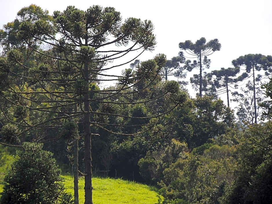 Paiol - Tô na Roça - Junto á natureza!!!