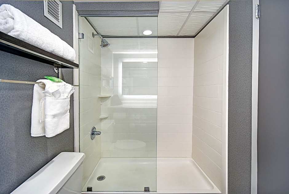 Holiday Inn Memphis Downtown Beale St. By IHG