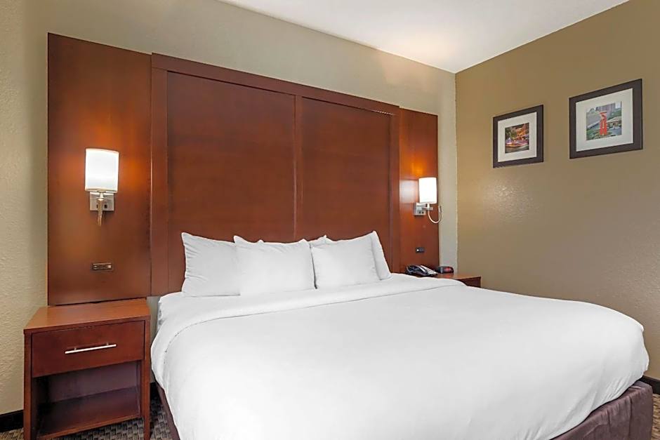 Comfort Inn & Suites Near Six Flags & Medical Center