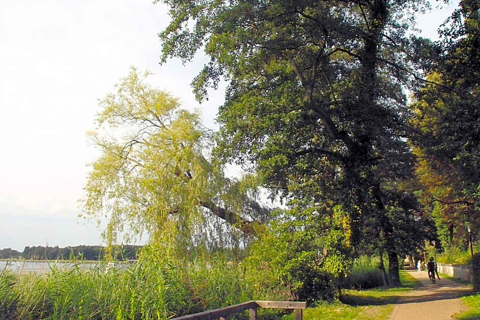 Keramik Hotel Rheinsberg