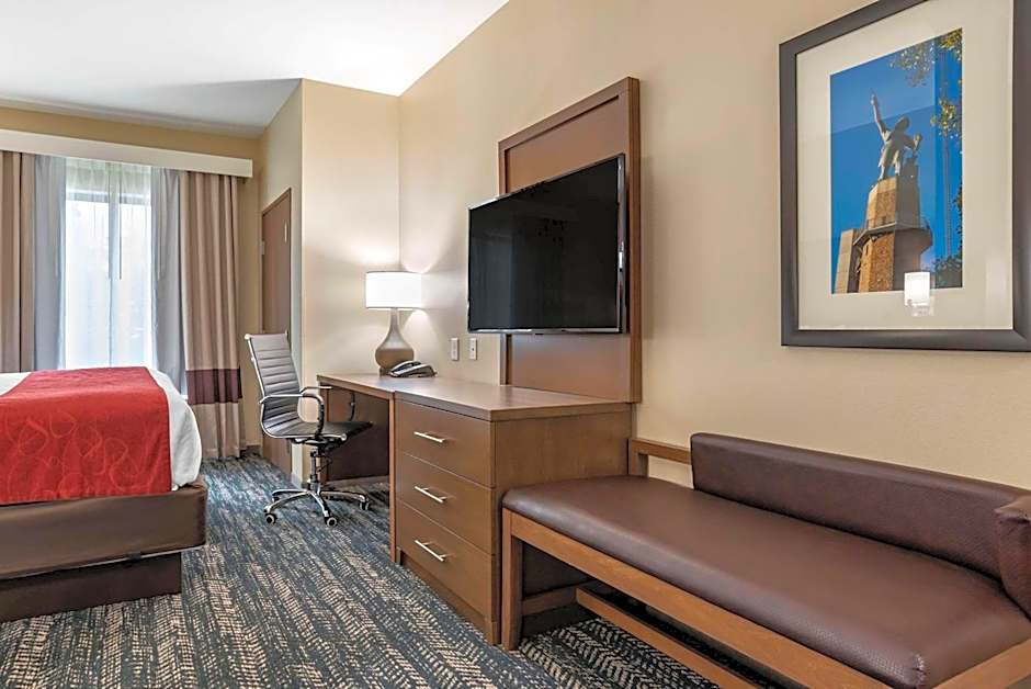 Comfort Inn & Suites Downtown near University