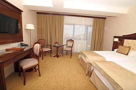 Superior Double or Twin Room with Terrace