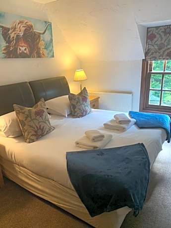 Family Room (2 Adults + 1 Child)