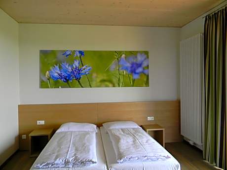 Double Room with Terrace