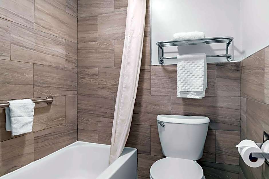 Best Western PLUS Flint Airport Inn & Suites